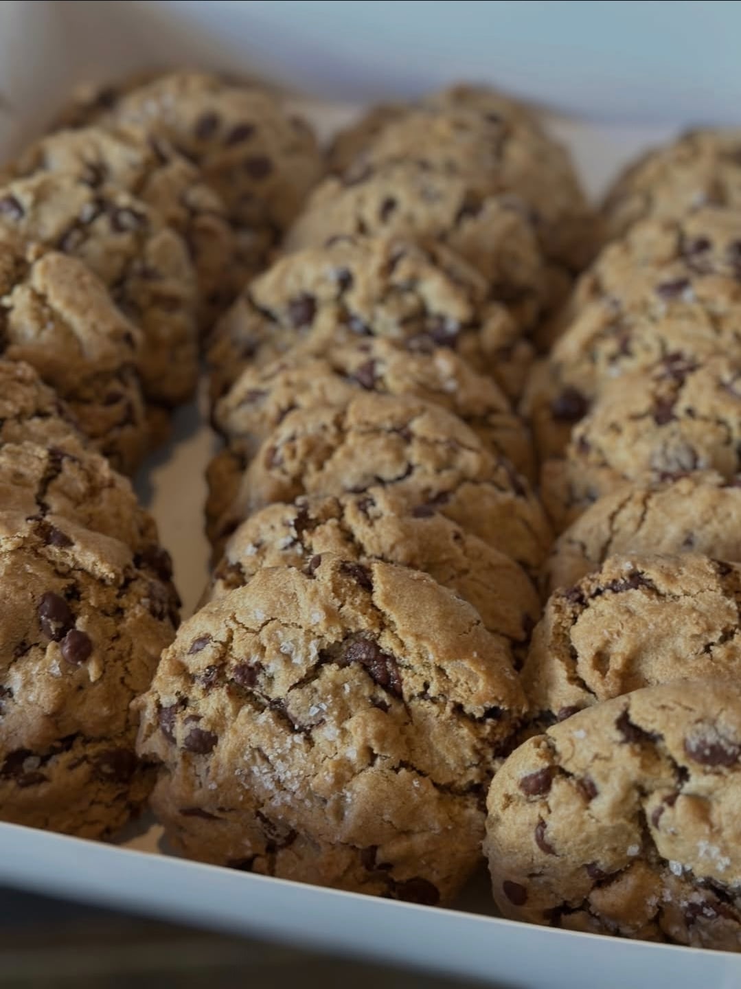 Choc Chip Cookies from The Sugar Fairy Cakes