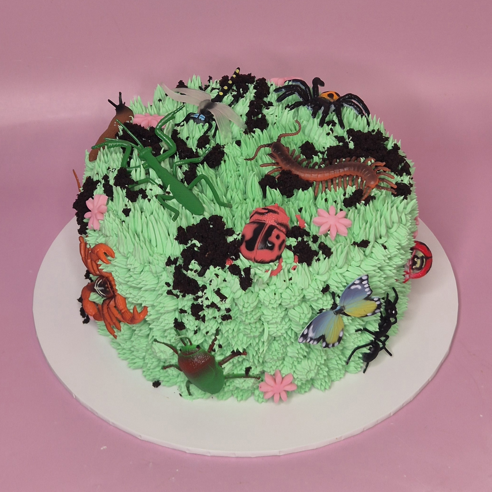 Insect Garden Cake from The Sugar Fairy